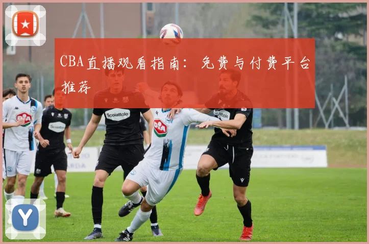 CBA直播观看指南：免费与付费平台推荐